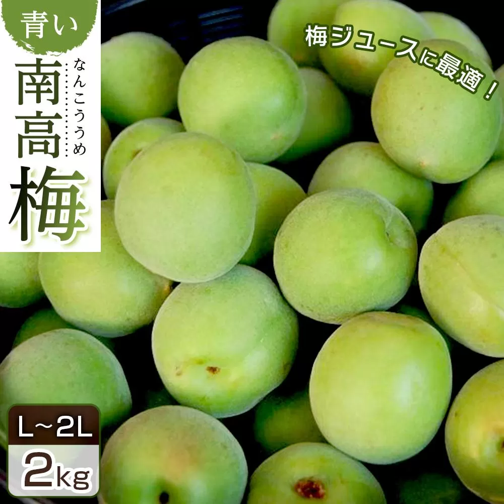 青い南高梅 2kg  L～2L寸 紀州特産 梅酒 梅ジュースに最適！ 【先行予約：2025年6月1日以降順次発送】