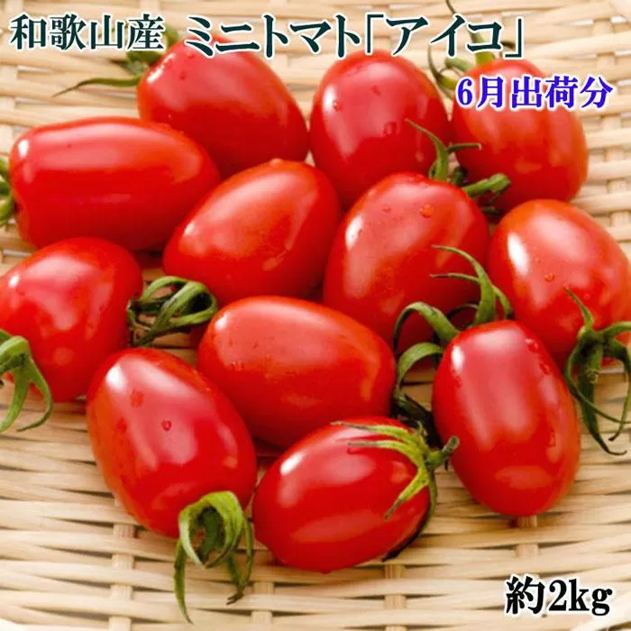【2024年6月出荷分】和歌山産ミニトマト「アイコトマト」約2kg（S・Mサイズおまかせ）