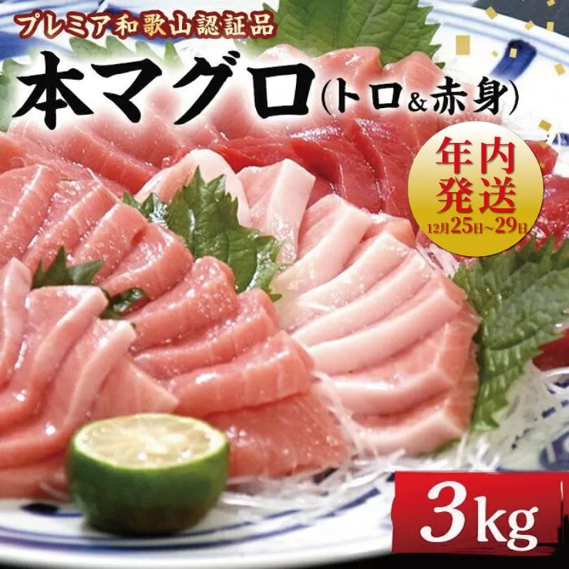 プレミア和歌山認証品 本マグロ（養殖）トロ＆赤身セット　3kg【年末発送（12月25日〜29日発送）】