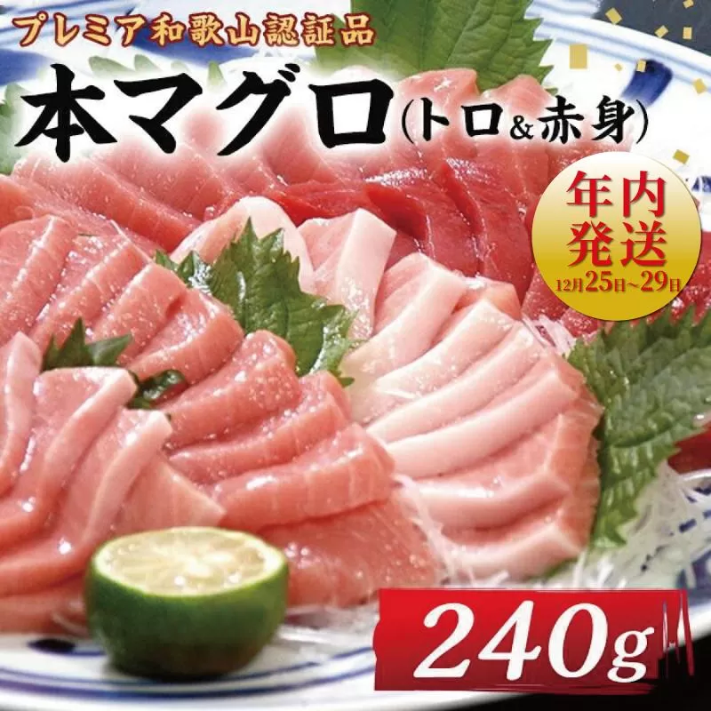 プレミア和歌山認証品 本マグロ（養殖）トロ＆赤身セット　240g【年末発送（12月25日〜29日発送）】