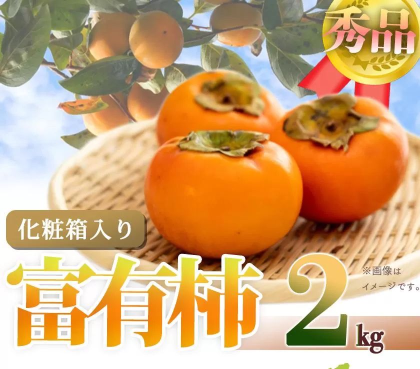 和歌山秋の味覚　富有柿　約２ｋｇ化粧箱入「2025年11月上旬以降発送予定」【UT49】