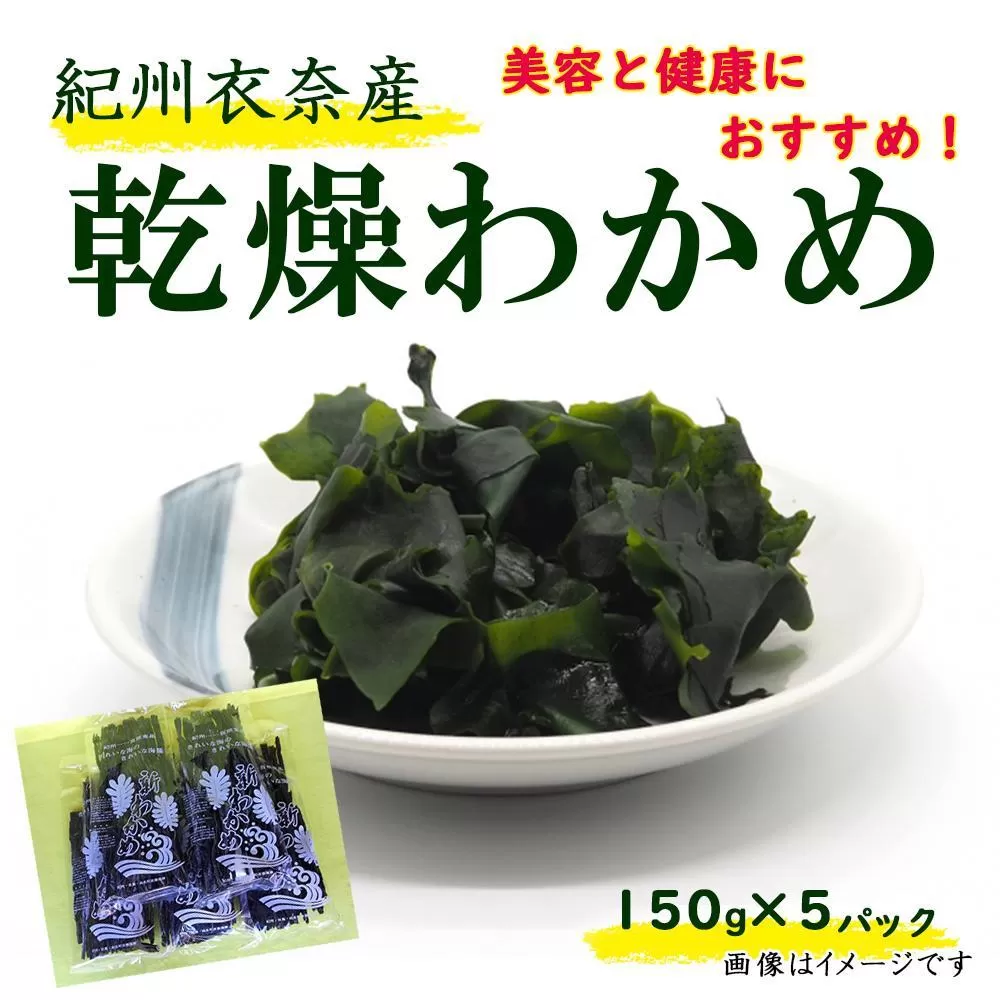 紀州衣奈産乾燥わかめ 約150g×5パック（2025年産） 【SL46】