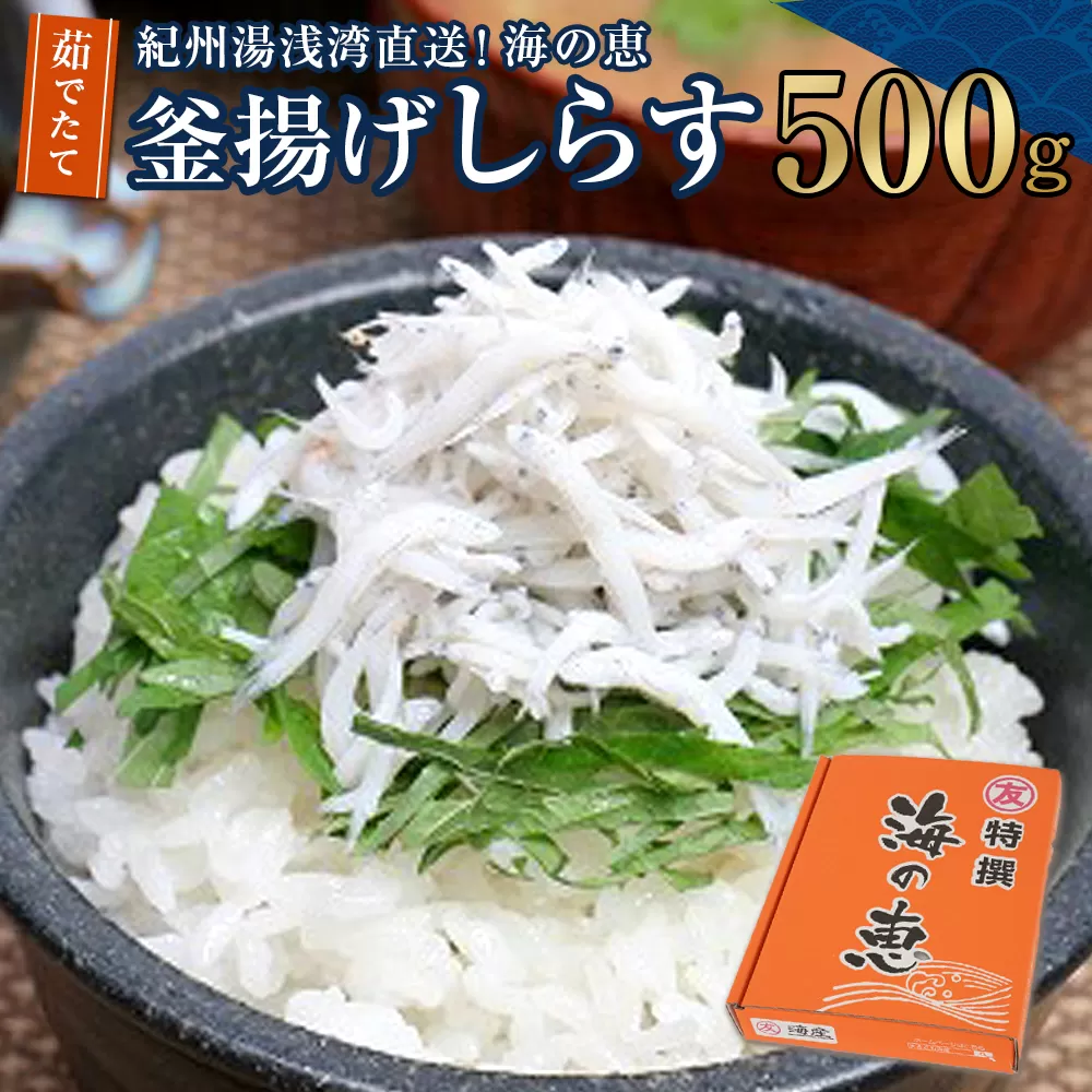 紀州湯浅湾直送！海の恵　茹でたて釜揚げしらす　500g　【冷蔵】