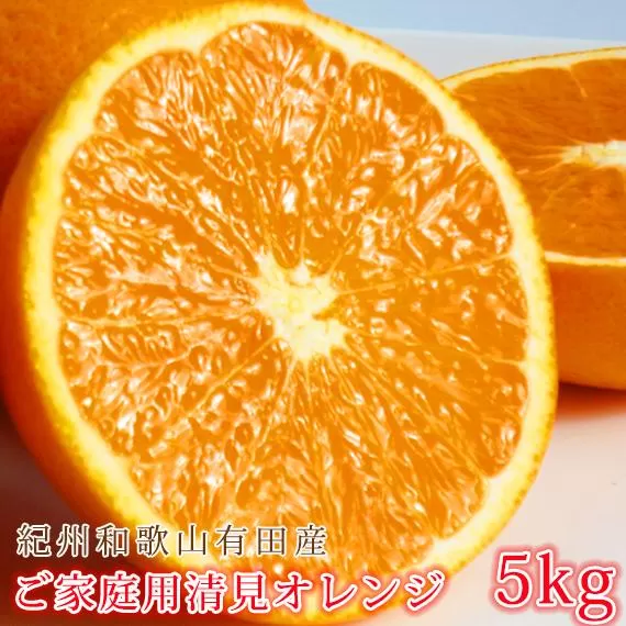 【ご家庭用訳あり】紀州有田産清見オレンジ 約5kg【2025年3月下旬以降発送】【先行予約】【UT132】