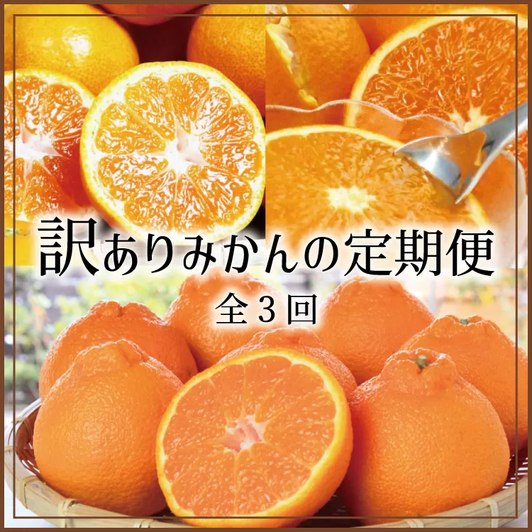 【3か月定期便】たっぷり届く♪訳ありみかんの定期便　温州みかん・不知火・清見オレンジ【tkb113】