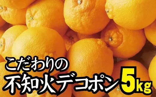 ＼光センサー選別／ 【農家直送】こだわりのデコポン不知火 約5kg  有機質肥料100%　※2024年2月中旬より順次発送予定（お届け日指定不可）