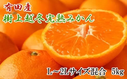 【濃厚・まろやか】有田産樹上越冬完熟みかん5kg（L〜2Lサイズ混合・赤秀） 