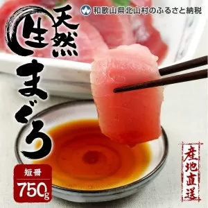 生マグロ ＜冷蔵＞ 短冊 750g【1月下旬発送】