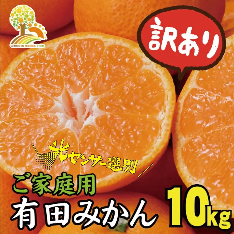 【訳あり】農家直送 有田みかん 約10kg  ご家庭用 サイズ混合 ※2024年11月中旬～1月中旬までに順次発送予定（お届け日指定不可）訳ありみかん 温州みかん 有機質肥料100%