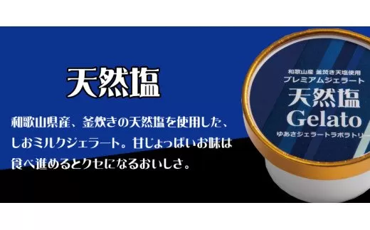 プレミアムジェラート 天然塩12個セット アイスクリームセット 100mlカップ ゆあさジェラートラボラトリー