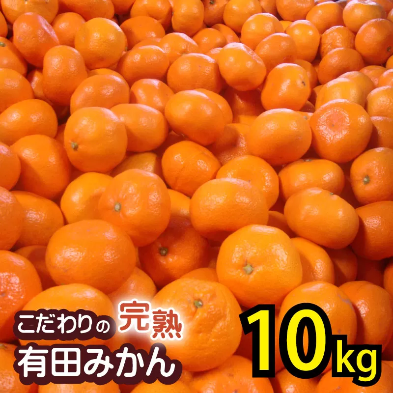 【2025年1月発送予約分】【農家直送】【家庭用】こだわりの有田みかん 約10kg＋250g(傷み補償分) 有機質肥料100% サイズ混合 【2025年1月発送】