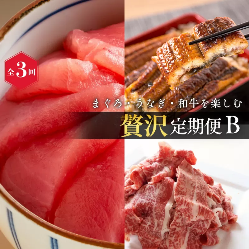 【全3回】まぐろ・うなぎ・和牛を楽しむ贅沢定期便B / 鮪 マグロ 刺身 鰻 ウナギ 蒲焼 熊野牛 肉 牛肉 和牛 黒毛和牛 赤身 こま切れ 【tkb387】