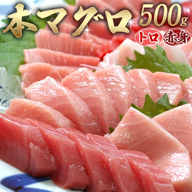 【串本町×北山村】本マグロ（養殖）トロ＆赤身セット500ｇ 【2月発送分】