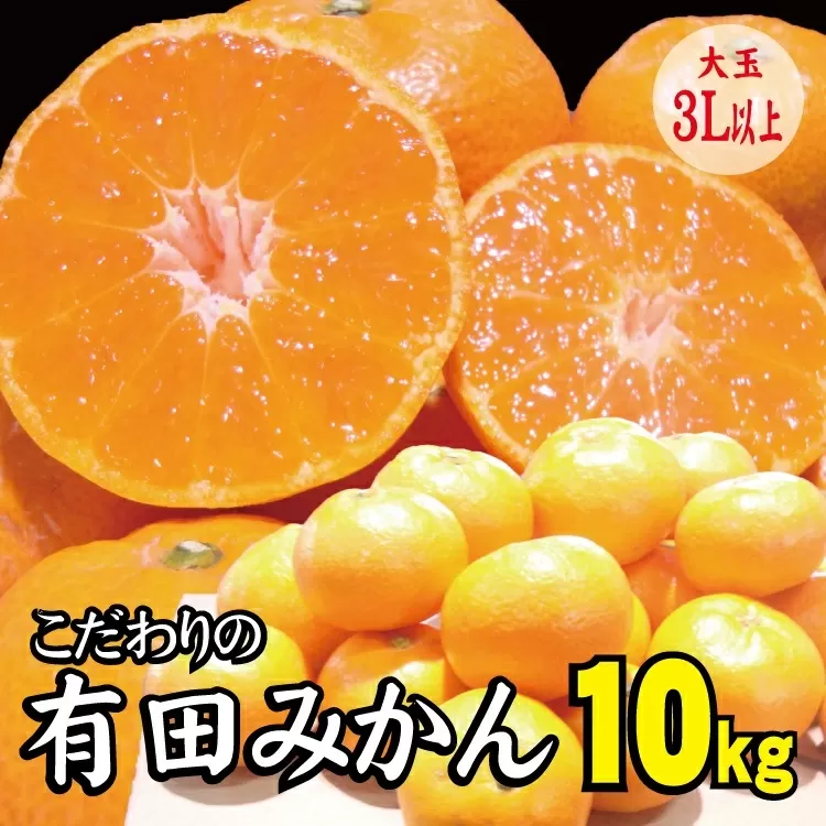 【農家直送】有田みかん　約10kg  大玉3L以上　有機質肥料100%　※2024年12月初旬〜1月中旬に順次発送(お届け日指定不可)