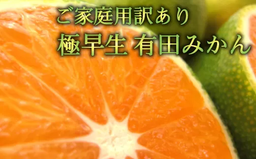 【初秋の美味】【10月〜発送】有田育ちのご家庭用訳あり濃厚極早生有田みかん　約10kg【サイズ混合】