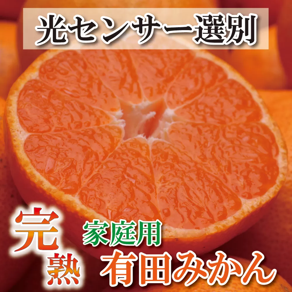 家庭用　完熟有田みかん5kg+150g（傷み補償分）【わけあり・訳あり】【光センサー選別】＜11月上旬より順次発送予定＞