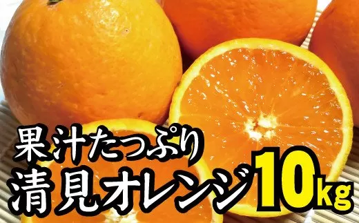 ＼光センサー選別／ 【農家直送】果汁たっぷり！清見オレンジ 約10kg  有機質肥料100%　 サイズ混合　※2024年3月上旬より順次発送予定（お届け日指定不可）