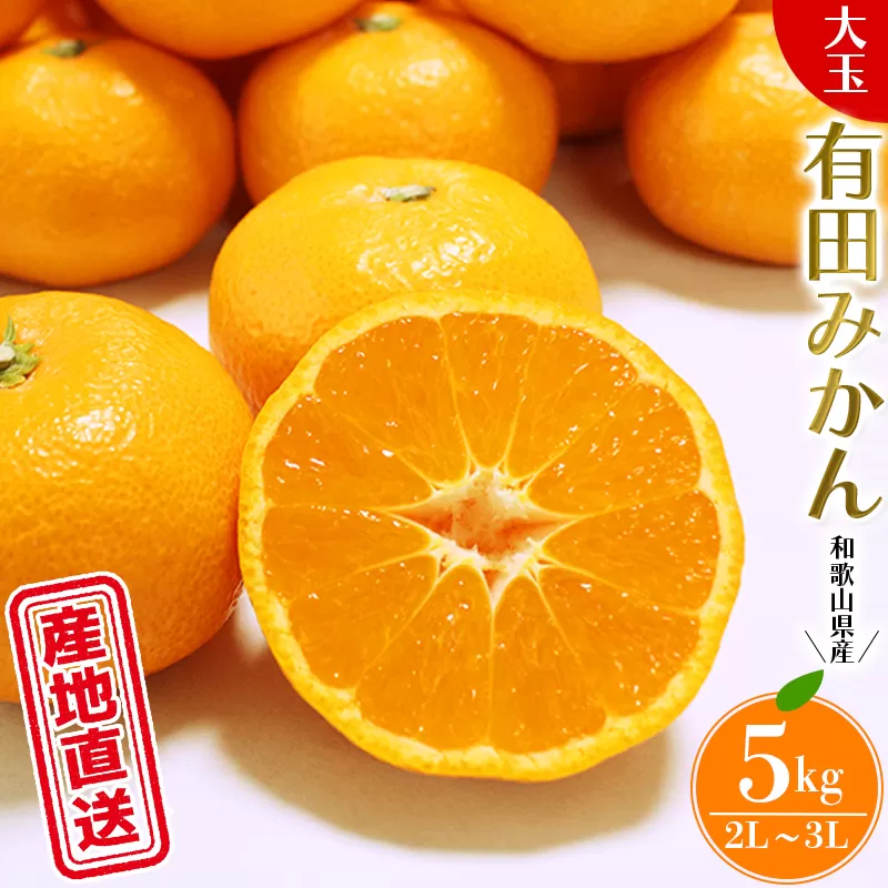 【先行予約】＼ みかんの名産地 和歌山県産／ 農家直送 大玉 有田みかん 5kg （2L～3L） ひとつひとつ手選別で厳選【2024年11月下旬～1月中旬ごろに順次発送予定】