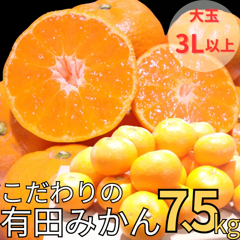 【農家直送】有田みかん 約7.5kg 大玉3L以上 有機質肥料100% ※2024年12月初旬～1月中旬に順次発送(お届け日指定不可)【nuk158A】