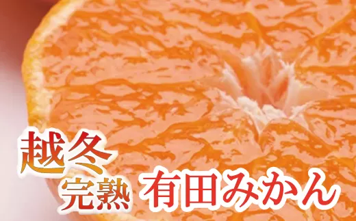 家庭用　越冬完熟みかん5kg+150g（傷み補償分）【ハウスみかん】【わけあり・訳あり】【光センサー選別】＜1月中旬より順次発送予定＞