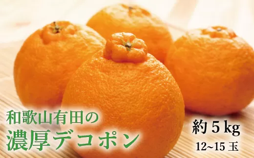 【大人気】和歌山有田の濃厚大玉デコポン　12〜15玉(約5kg)　※2024年1月中旬〜3月中旬頃に順次発送