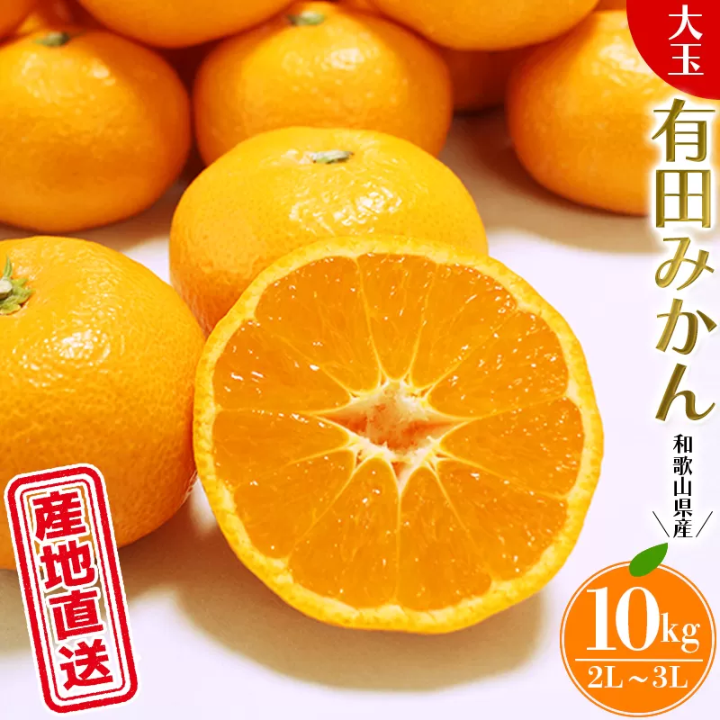 【先行予約】 ＼ みかんの名産地 和歌山県産／ 農家直送 大玉 有田みかん 10kg （2L～3L） ひとつひとつ手選別で厳選【2024年11月下旬～1月中旬ごろに順次発送予定】