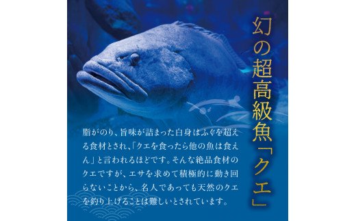 和歌山 県 クエ ストア 鍋