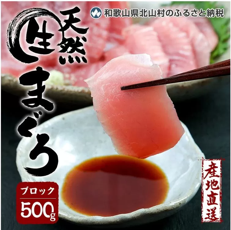 生マグロ ＜冷蔵＞ ブロック 500g【予約受付/11月中旬に発送】