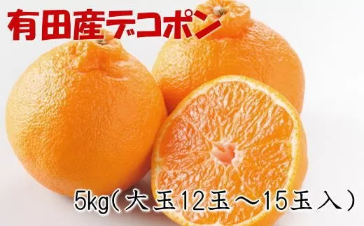 【お味濃厚】紀州有田産の大玉デコポン約5kg(12玉〜15玉入り・青秀以上) ※2024年1月上旬頃〜2024年3月下旬ごろ順次発送