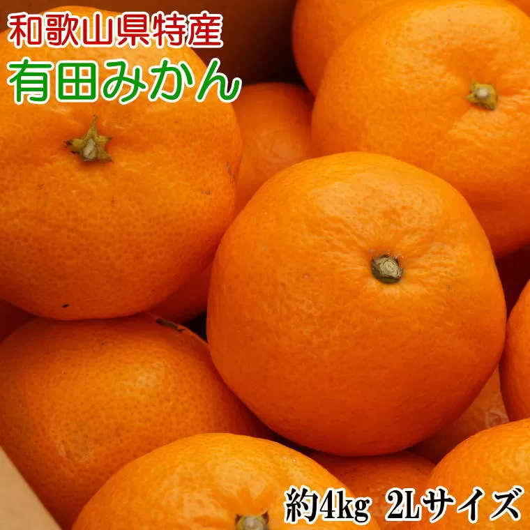 [秀品]和歌山有田みかん約4kg(2Lサイズ)※2023年11月上旬〜2024年1月下旬頃順次発送（お届け日指定不可）