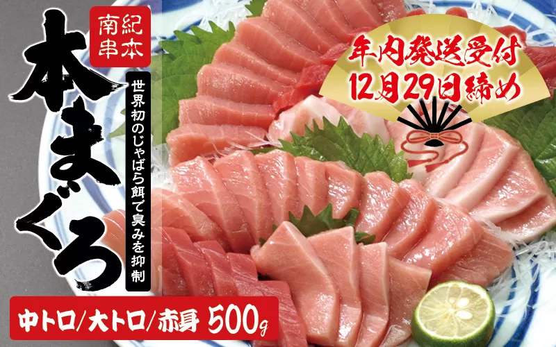 お正月は豪華に！ 本マグロ トロ＆赤身セット 500g（養殖）【お正月予約 12月25日〜30日発送】濃厚な赤身と高級部位トロの鮪好きにはたまらないセット 【串本町×北山村】 高級 クロマグロ