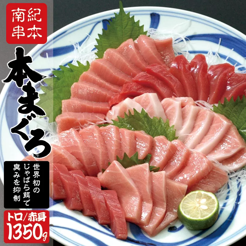 本マグロ トロ＆赤身セット1350g（養殖）【1月発送】濃厚な赤身と高級部位トロの鮪好きにはたまらないセット 【串本町×北山村】 高級 クロマグロ