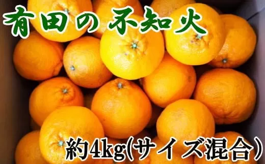 【濃厚】有田産不知火約4kg（M〜3Lサイズ混合）※2025年2月中旬～2025年3月上旬頃に発送予定（お届け日指定不可）