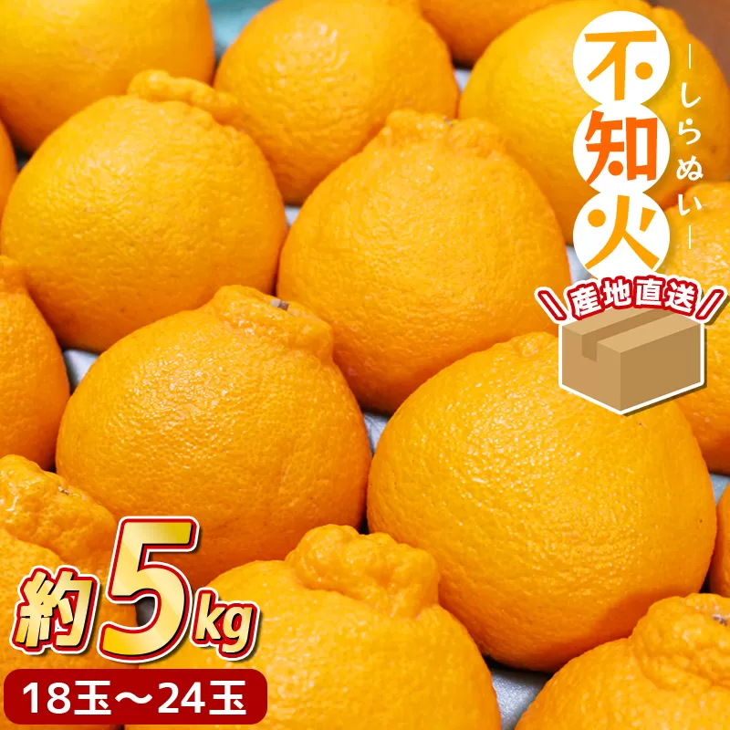 【先行予約】 ＼ みかんの名産地 和歌山県産／ 農家直送 不知火 約5kg(18〜24玉) ひとつひとつ手選別で厳選【2025年2月中旬～3月下旬ごろに順次発送予定】