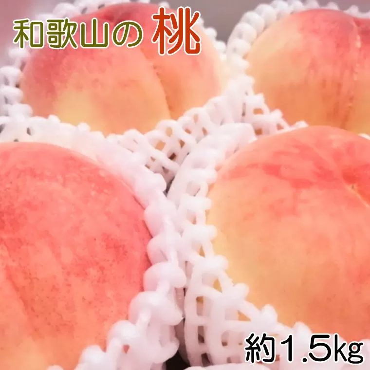 【産直・人気の特産品】和歌山の桃　約1.5kg  ※2025年6月下旬～2025年8月上旬頃に順次発送【tec946A】