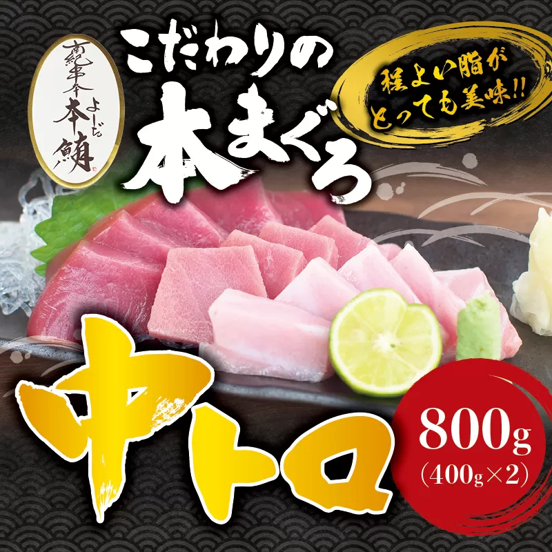 本マグロ 中とろ 800g（400g×2）サク 「プレミア和歌山認定」  和歌山県でも指折りの好漁場で養殖された本鮪です！  南紀串本よしだ本鮪