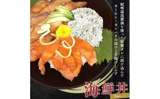 紀州湯浅醤油を使ったサーモンとカンパチの漬け＆釜揚げしらすの 海鮮丼 ３種セット×２ 計６００g