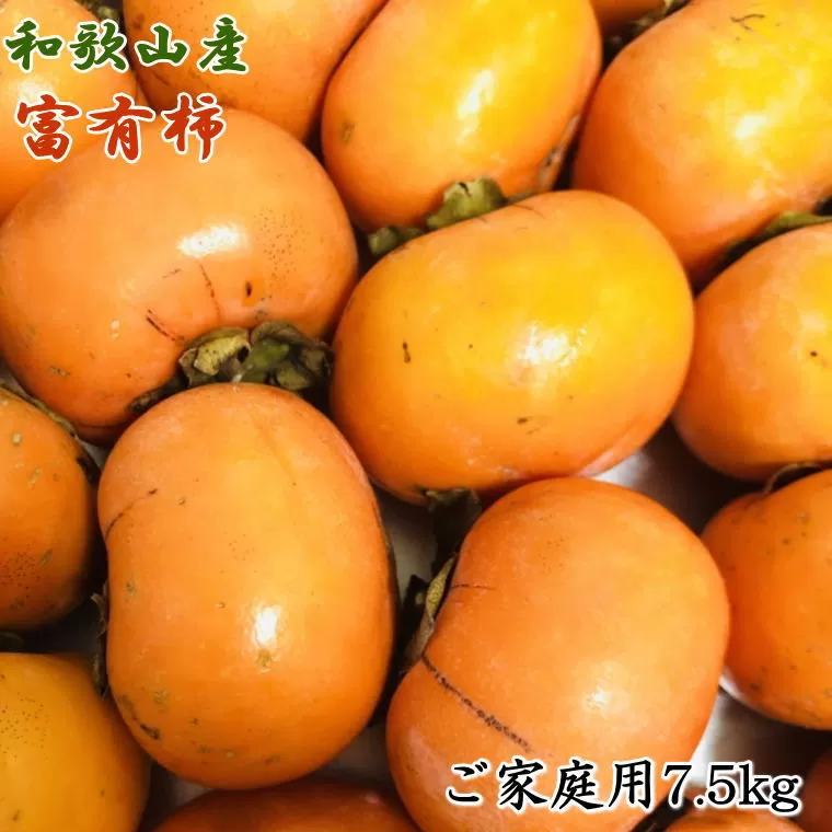 和歌山産富有柿ご家庭用約7.5kg ※2024年11月上旬～2024年12月上旬頃に順次発送 