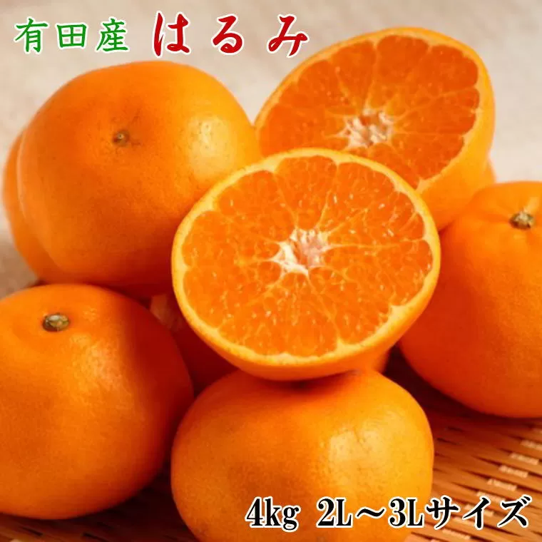 【厳選・濃厚】紀州有田産のはるみ 4kg(2L〜3Lサイズおまかせ) ※2024年1月下旬〜2024年2月中旬頃順次発送(お届け日指定不可)