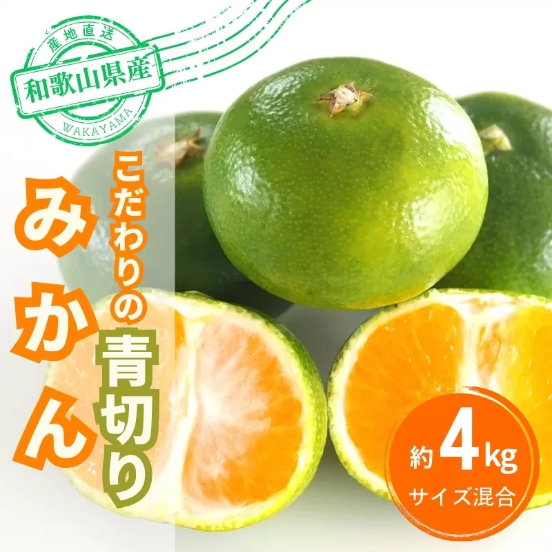 ＼光センサー選別/ [先行予約]＼有機質肥料100%/ こだわりの青切りみかん 約4kg サイズ混合 [2025年9月下旬頃より順次発送][nuk142B]