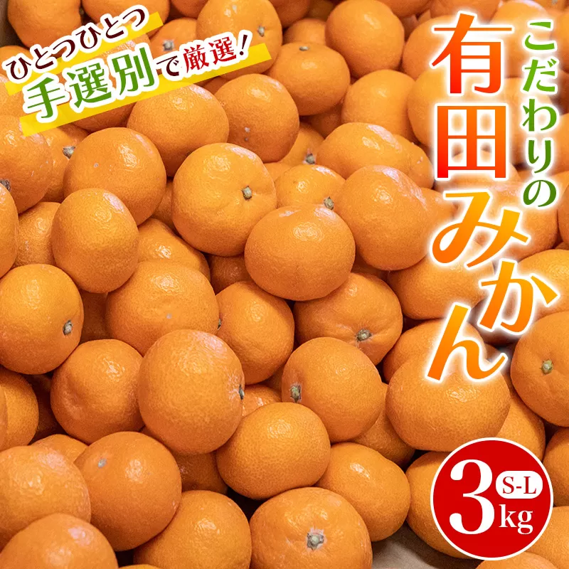 こだわりの和歌山県産 有田みかん 3kg(S～Lサイズ) ひとつひとつ手選別で厳選！生産者から直送 【2024年11月下旬～1月中旬ごろに順次発送予定】 / みかん フルーツ 果物 くだもの 有田みかん 蜜柑 柑橘【hdm004】