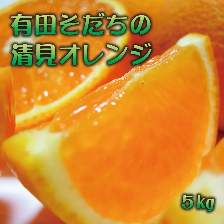 【2025年2月下旬〜3月下旬順次発送予定】有田育ちの完熟清見オレンジ(ご家庭用)　約5kg