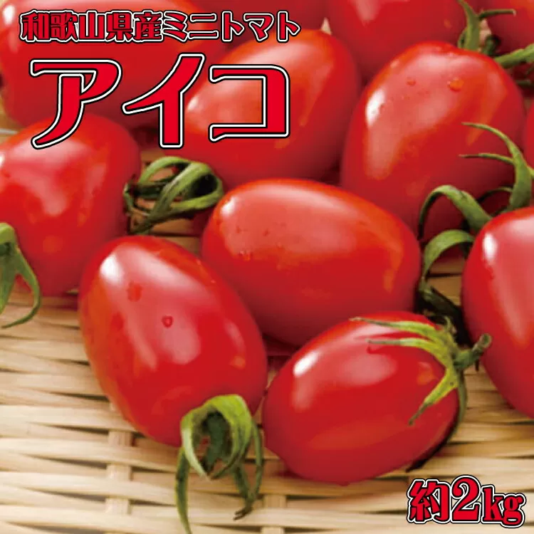 【6月出荷分】和歌山産ミニトマト「アイコトマト」約2kg（S・Mサイズおまかせ）