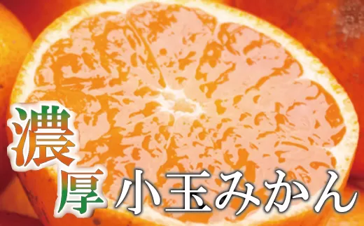 家庭用　小玉な有田みかん8.5kg+255g（傷み補償分）【わけあり・訳あり】【光センサー選果】＜11月上旬より順次発送予定＞