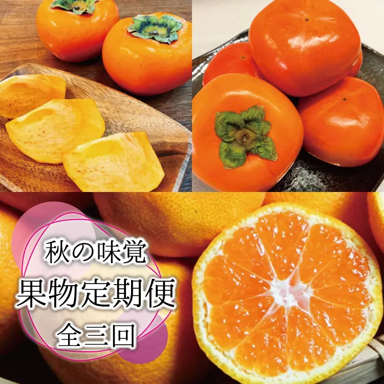 【全3回定期便】秋の味覚 果物定期便　柿・みかん　旬のフルーツを毎月お届け♪ひらたねなし柿・富有柿・田村みかん【tkb130】