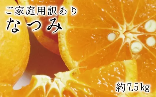 【ご家庭用訳アリ】初夏のみかん なつみ7.5kg　※2025年4月中旬〜2025年4月下旬頃に順次発送予定(お届け日指定不可)