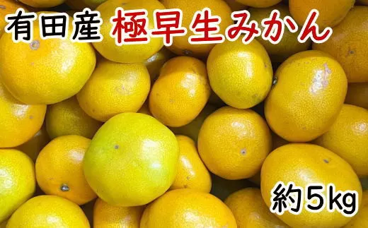 有田産極早生みかん約5kg（サイズ混合）　※2023年10月中旬〜11月上旬頃発送予定（お届け日指定不可）