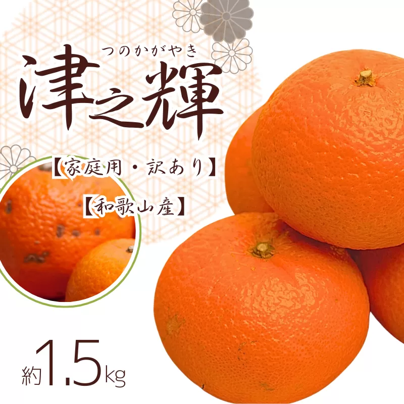 ＜2月より発送＞家庭用 津之輝1.5kg+45g（傷み補償分）つのかがやき【わけあり・訳あり】【光センサー選別】※北海道・沖縄・離島への配送不可【ikd204】