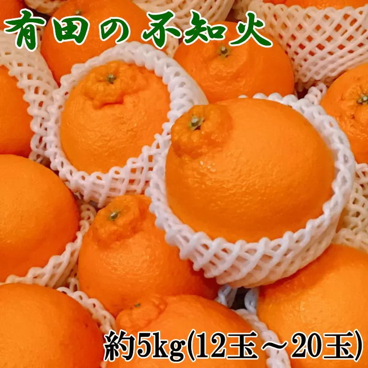 【濃厚】有田の不知火約5kg（12玉〜20玉おまかせ） ※2025年2月中旬～2025年3月上旬頃に順次発送予定（日付指定不可）