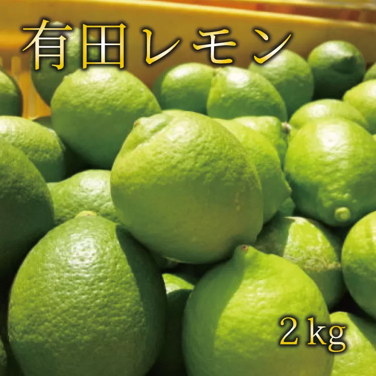 【国産】紀州和歌山　有田レモン 約2kg